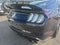 2022 Ford Mustang Shelby GT500