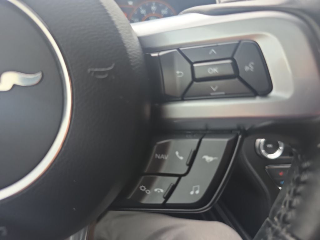 2019 Ford Mustang EcoBoost Premium