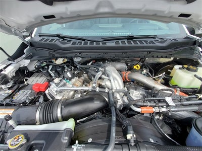 2025 Ford F-250SD Platinum