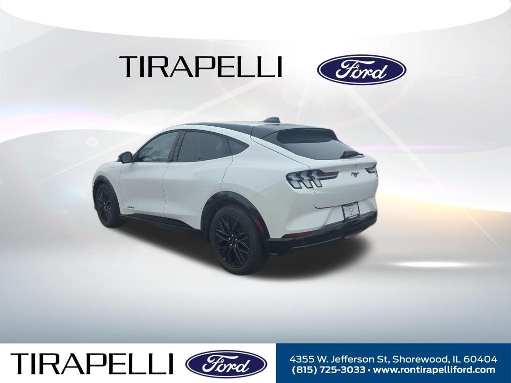 Used 2025 Ford Mustang Mach-E Premium AWD with VIN 3FMTK3SU6SMA18569 for sale in Shorewood, IL